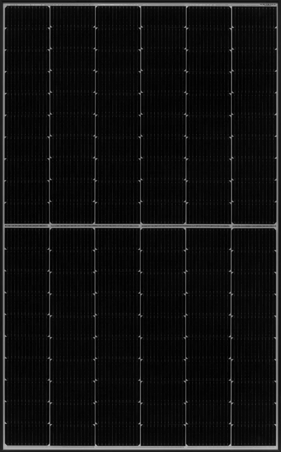 3202_QPEAK-DUO ML G10